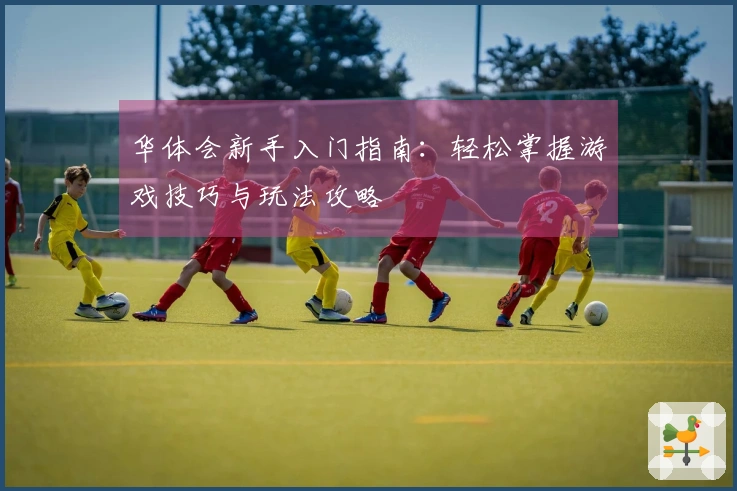 华体会新手入门指南：轻松掌握游戏技巧与玩法攻略